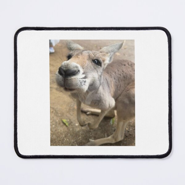 Item preview, CLOSE-UP - KANGAROO designed and sold by trevorp.