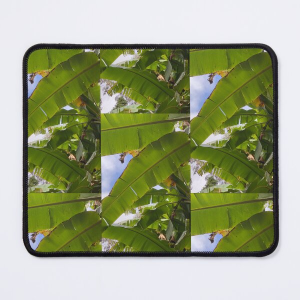 Item preview, Banana Breeze designed and sold by Jayne Sims.