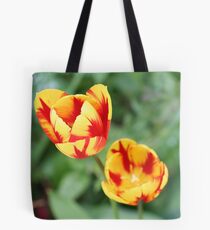 "Two Tone Tulips" Tote Bag