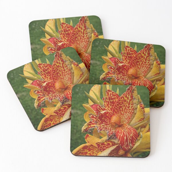 Item preview, Banana Canna  designed and sold by TSinclairArt.