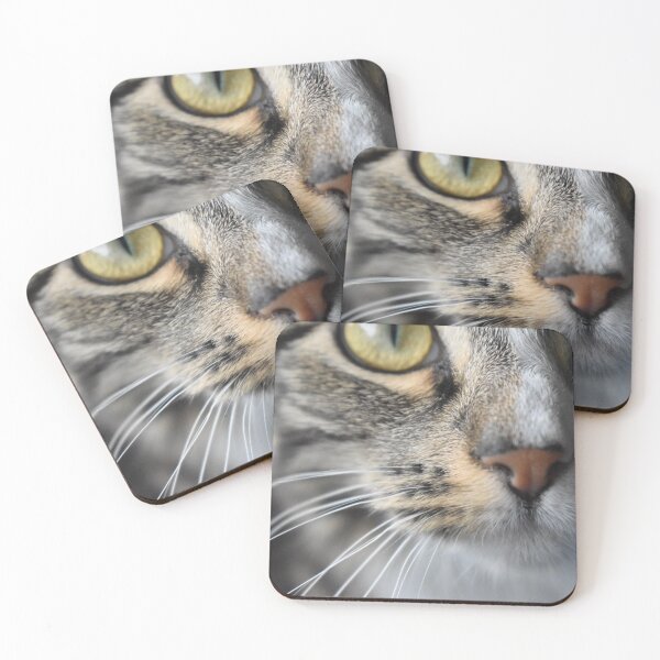 Item preview, cat nose designed and sold by proxstination.