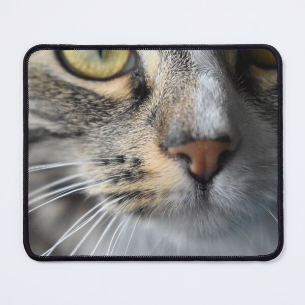 Item preview, cat nose designed and sold by proxstination.