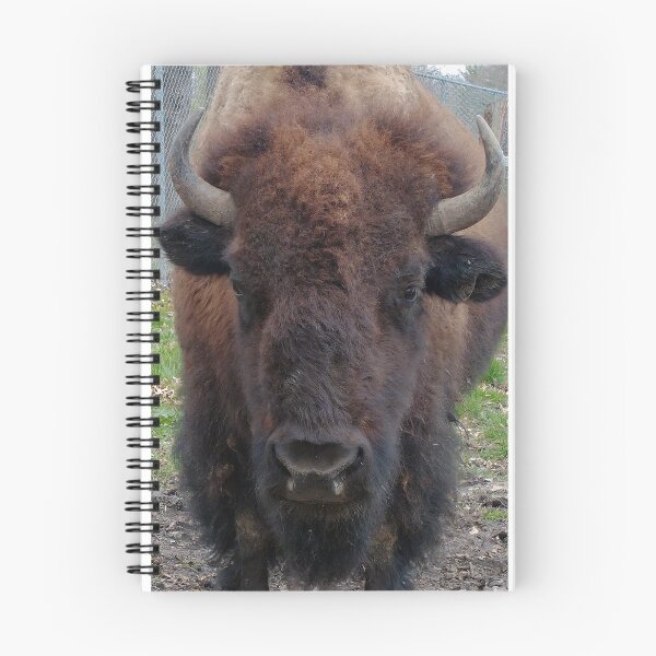 Item preview, The Bison Stare designed and sold by WHemporium.