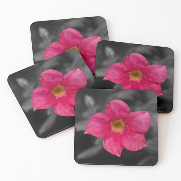 Item preview, Brazilian Jasmine designed and sold by Boujiee-Boutique.