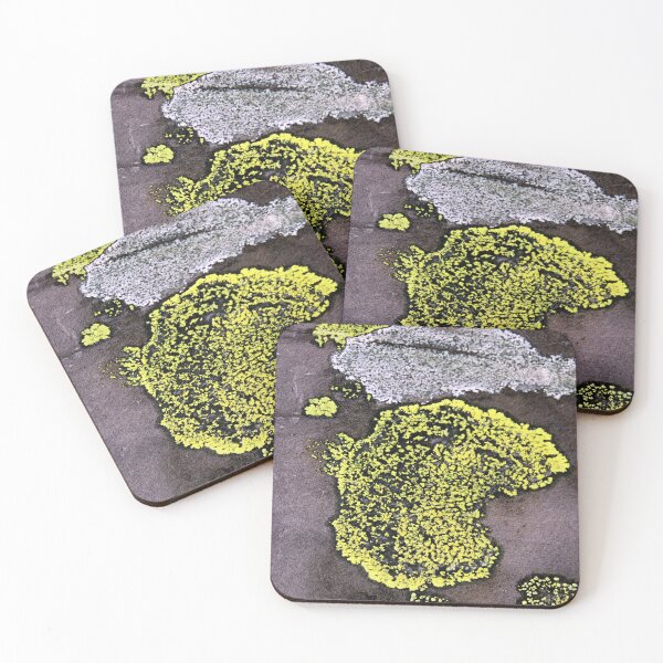 Item preview, lichen designed and sold by KathleenDawson.