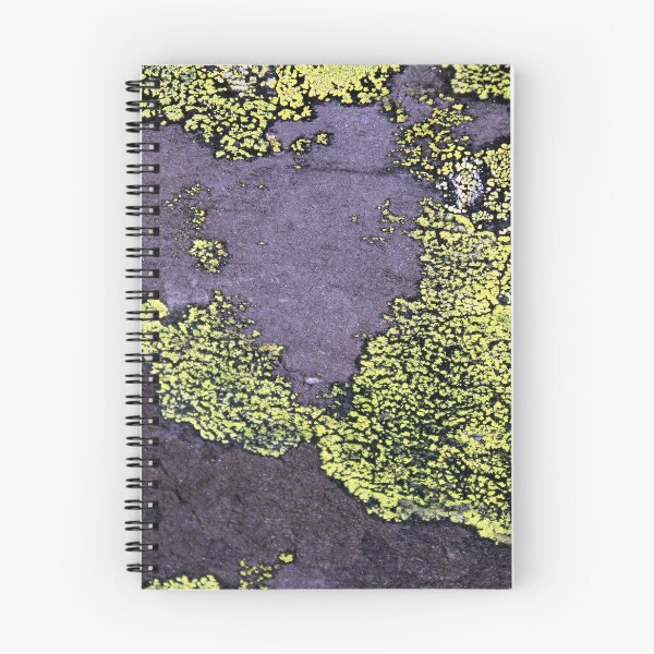Item preview, lichen designed and sold by KathleenDawson.