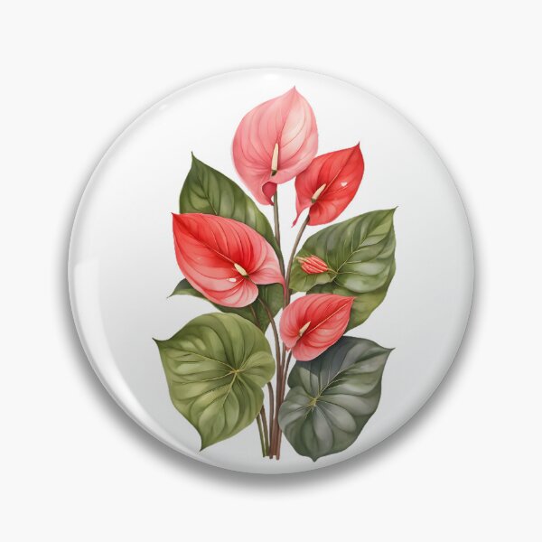 Item preview, Anthurium (Anthurium andraeanum) designed and sold by HOMETOWN86.