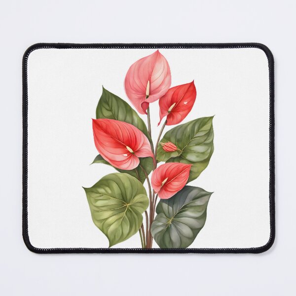 Item preview, Anthurium (Anthurium andraeanum) designed and sold by HOMETOWN86.