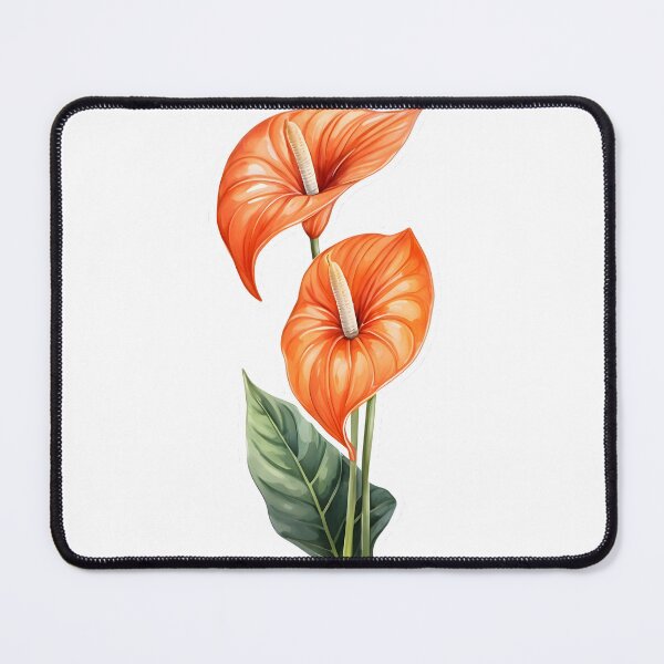 Item preview, Orange Anthurium (Anthurium andraeanum) designed and sold by HOMETOWN86.