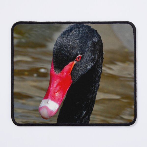 Item preview, Black Swan designed and sold by penguinblue.