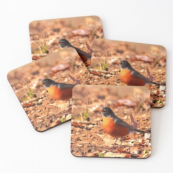 Item preview, Robin designed and sold by Parks and X.