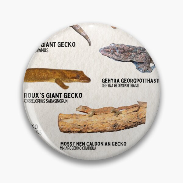 Item preview, Geckos of New Caledonia Scientific biology vintage poster  designed and sold by wesleykshaver.