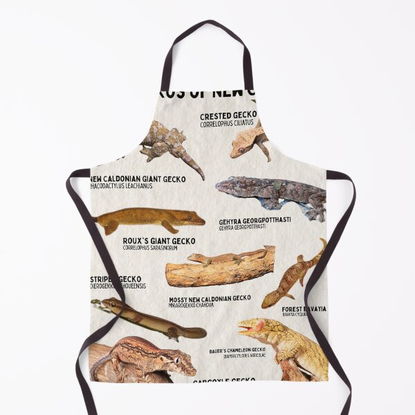 Item preview, Geckos of New Caledonia Scientific biology vintage poster designed and sold by wesleykshaver.
