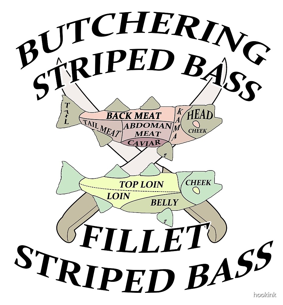 "Striped Bass Fillet and Butchering diagrams " by hookink Redbubble