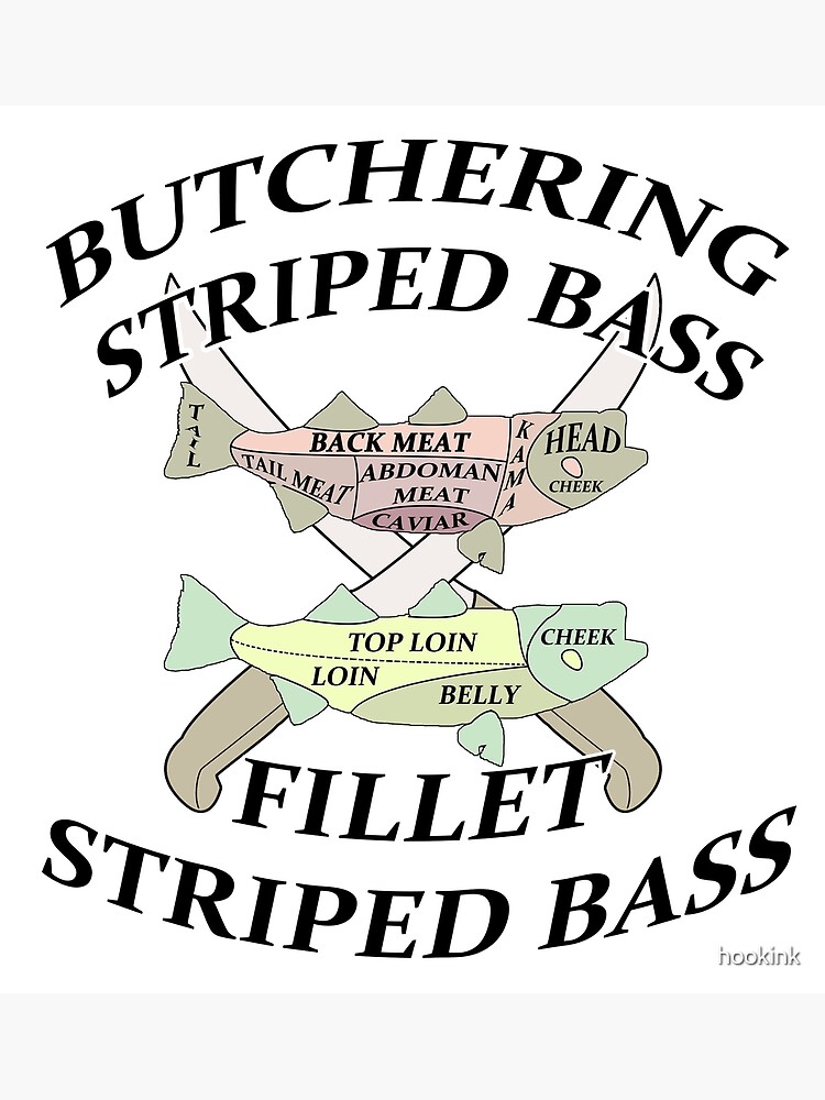 "Striped Bass Fillet and Butchering diagrams " Poster by hookink Redbubble