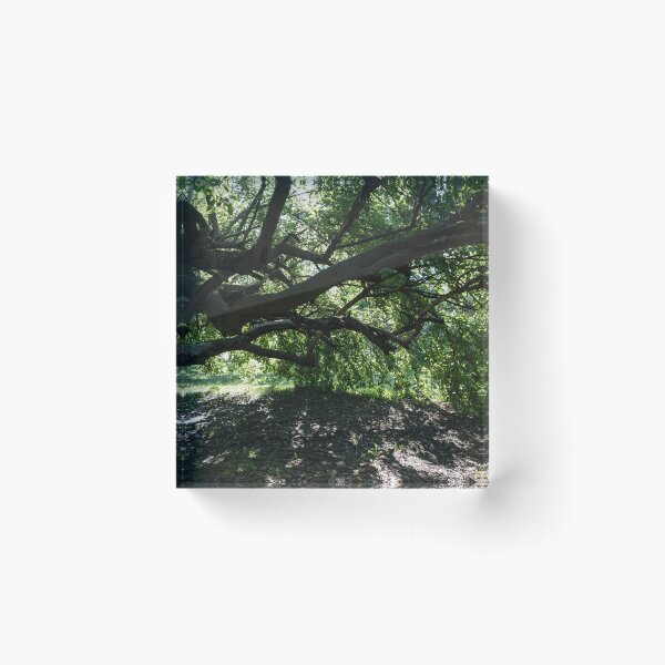 Item preview, Green Biophilic Shelter Under an Eccentric Mulberry Tree designed and sold by Georgia Mizuleva.