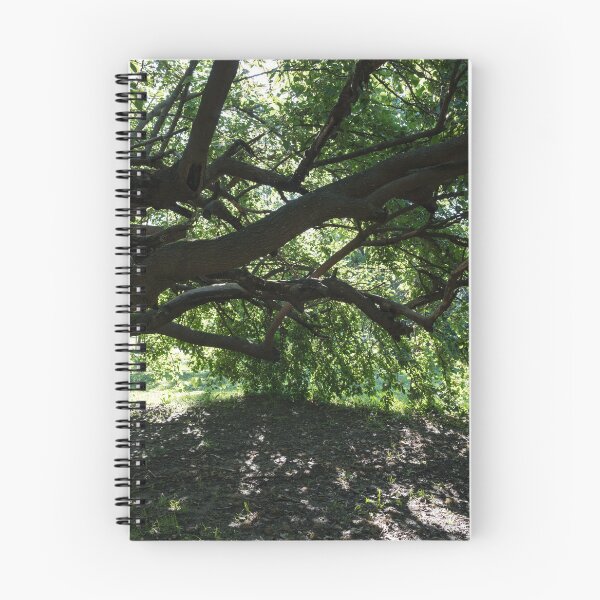 Item preview, Green Biophilic Shelter Under an Eccentric Mulberry Tree designed and sold by Georgia Mizuleva.