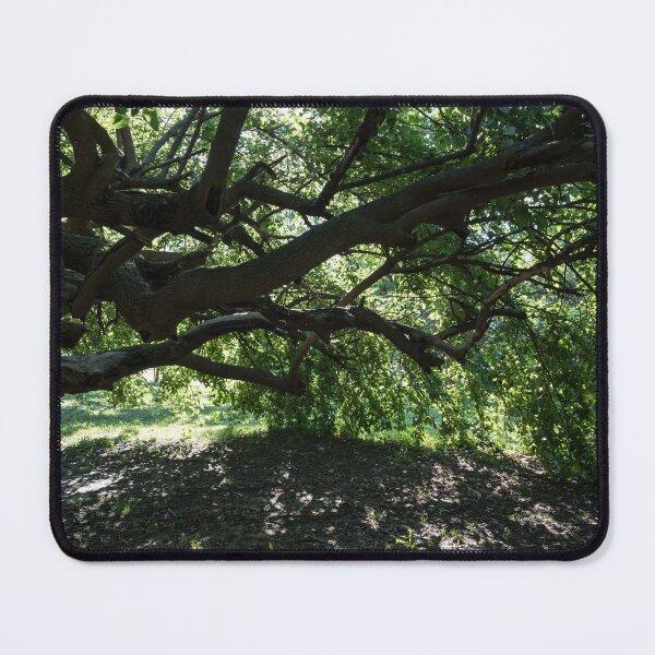 Item preview, Green Biophilic Shelter Under an Eccentric Mulberry Tree designed and sold by Georgia Mizuleva.