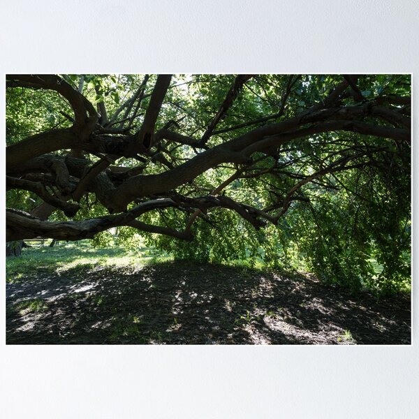 Item preview, Green Biophilic Shelter Under an Eccentric Mulberry Tree designed and sold by Georgia Mizuleva.