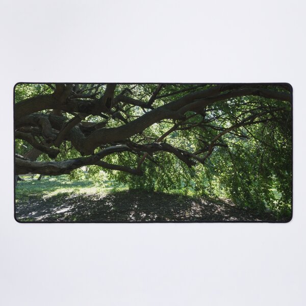 Item preview, Green Biophilic Shelter Under an Eccentric Mulberry Tree designed and sold by Georgia Mizuleva.