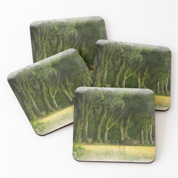 Item preview, Digital painting of the beech trees Upper Moor designed and sold by RobThorley.