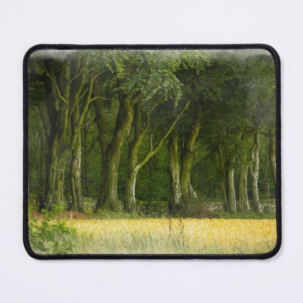 Item preview, Digital painting of the beech trees Upper Moor designed and sold by RobThorley.