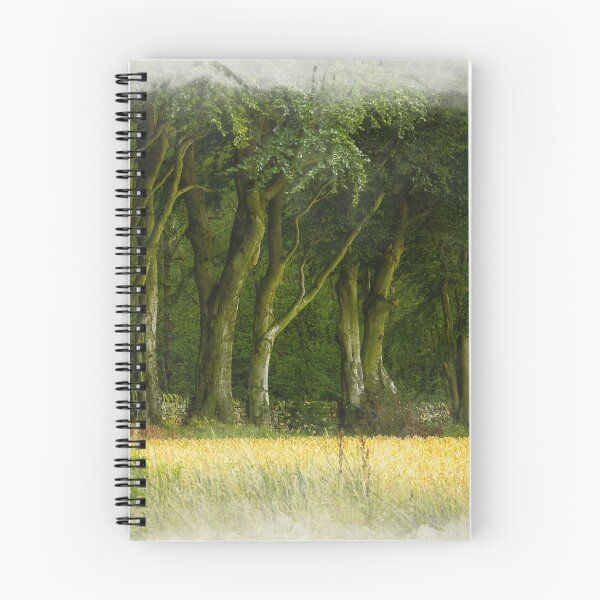Item preview, Digital painting of the beech trees Upper Moor designed and sold by RobThorley.