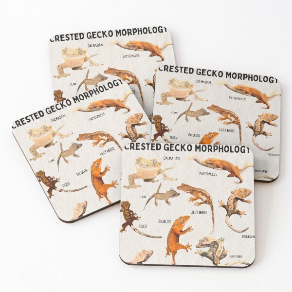 Item preview, Crested Gecko Morphology Biology Wildlife Diagram Science designed and sold by wesleykshaver.