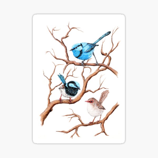 Item preview, Superb Fairy Wrens by B3cclesArt  designed and sold by B3cclesArt..