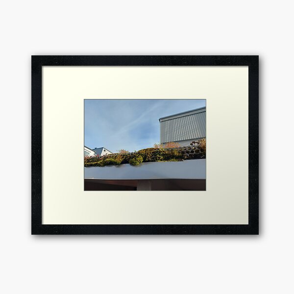 Item preview, Urban green roof designed and sold by ThreadLacefully.
