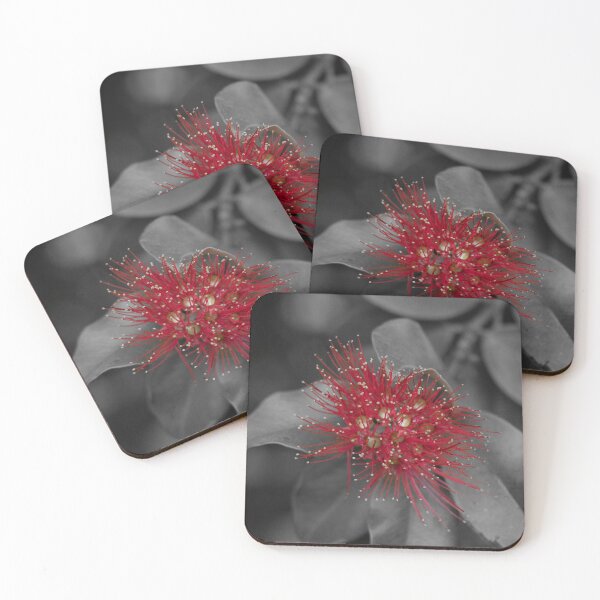 Item preview, Red Banksia designed and sold by Boujiee-Boutique.