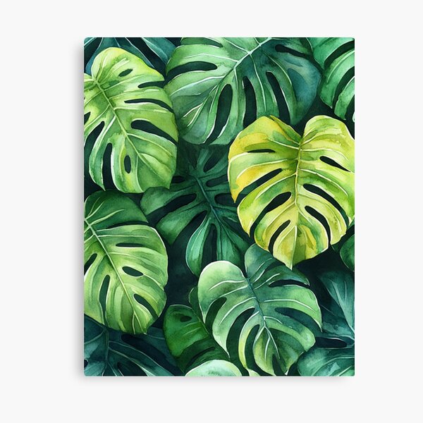 Artikel-Vorschau von Monstera Blätter , designt und verkauft von kathar-sis.