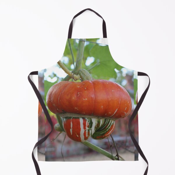 Item preview, Turban squash designed and sold by pinkal.