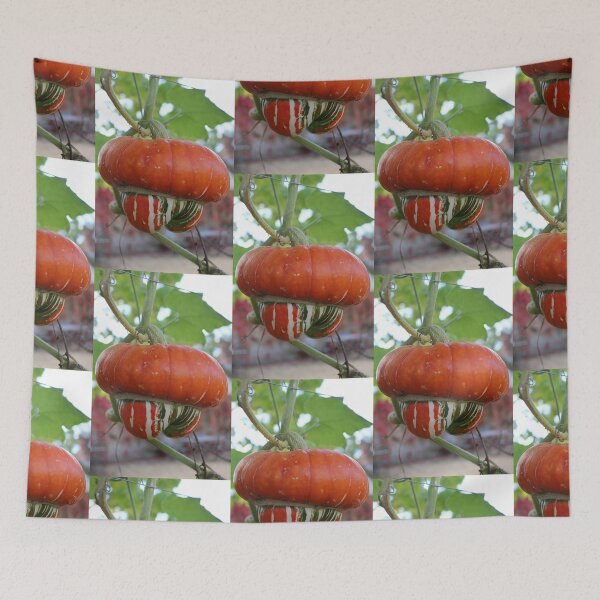 Item preview, Turban squash designed and sold by pinkal.