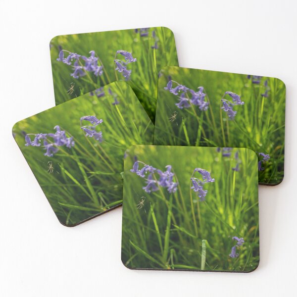 Item preview, Spider's web and bluebells designed and sold by CathysCaptures.