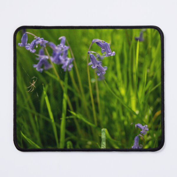 Item preview, Spider's web and bluebells designed and sold by CathysCaptures.