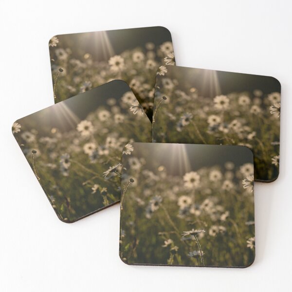 Item preview, Ox eye daisies in golden light designed and sold by CathysCaptures.