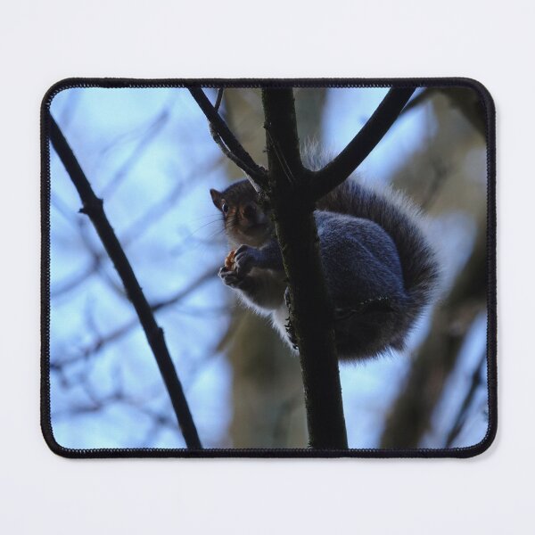 Item preview, Its my nut designed and sold by frogs123.