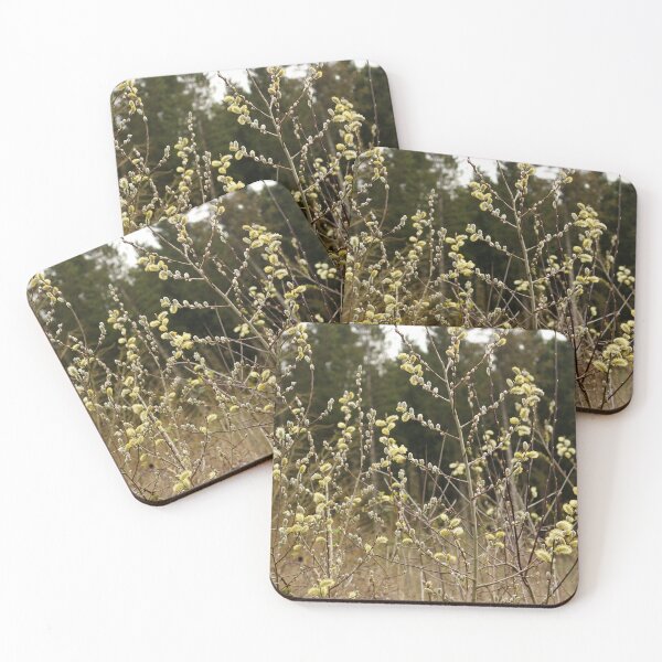 Item preview, Goat Willow Catkins designed and sold by pinkal.