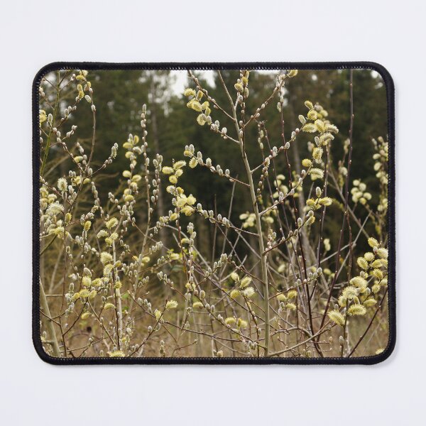 Item preview, Goat Willow Catkins designed and sold by pinkal.