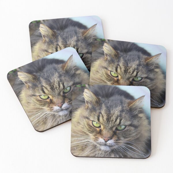 Item preview, Pretty kitty  designed and sold by McFleur's Lens.