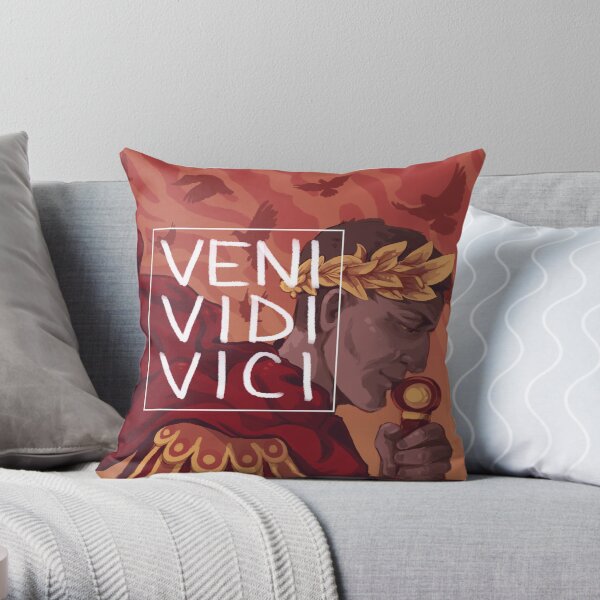Veni Vidi Vici Cojín
