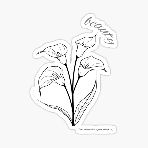 Item preview, Calla is beauty designed and sold by GabronDesign.