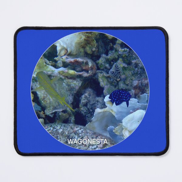 Item preview, Underwater - View of the Reef in Bonaire by Wagonesta designed and sold by Wagonesta.