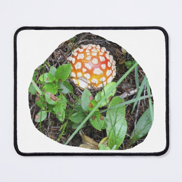 Item preview, Young Fly Agaric and his Friends designed and sold by ZoffArt-Shop.
