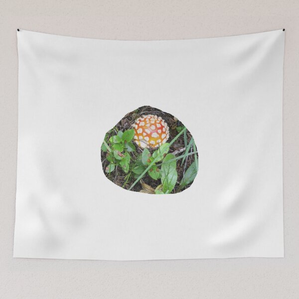 Item preview, Young Fly Agaric and his Friends designed and sold by ZoffArt-Shop.