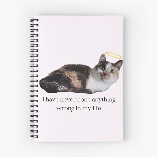 Item preview, Never Done Anything Wrong designed and sold by brittfewster.