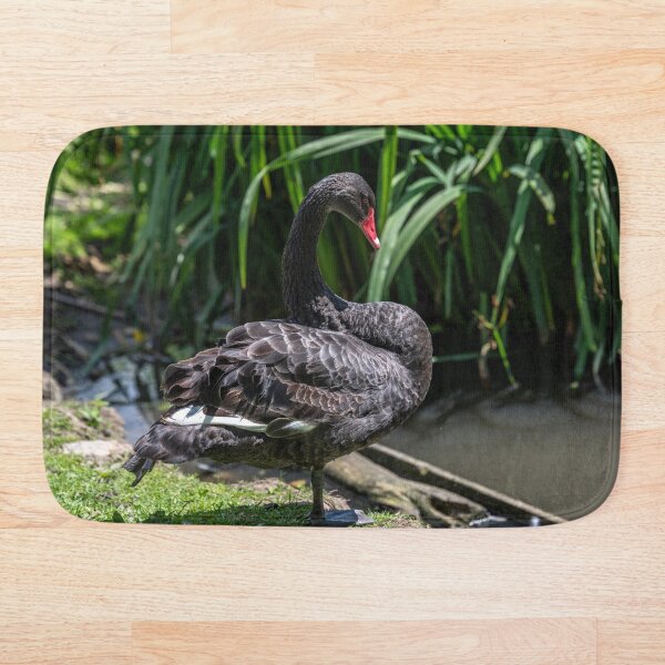Item preview, Elegant Black Swan by the Water designed and sold by David Patterson.