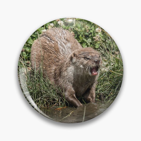 Item preview, Otter by the Water's Edge designed and sold by David Patterson.