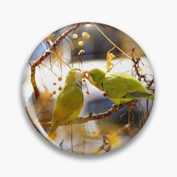 Item preview, Kiss of Parakeets designed and sold by manoloshoping.